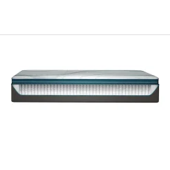 Adapt 2.0 Medium Mattress