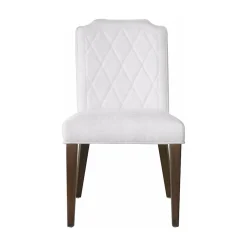 Asher Park Upholstered Side Chair