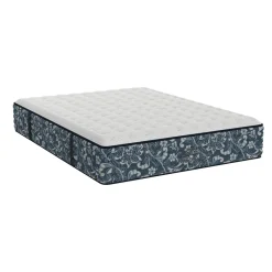 Bladen Firm Mattress