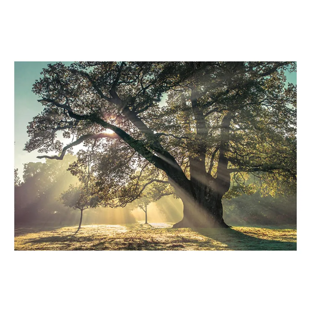 Breaking Through