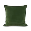 Cotton Velvet Pillow - Green