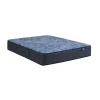 Delani Dreams Medium Perfect Sleeper Mattress