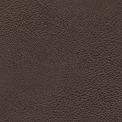 Durango Leather Reclining Sofa
