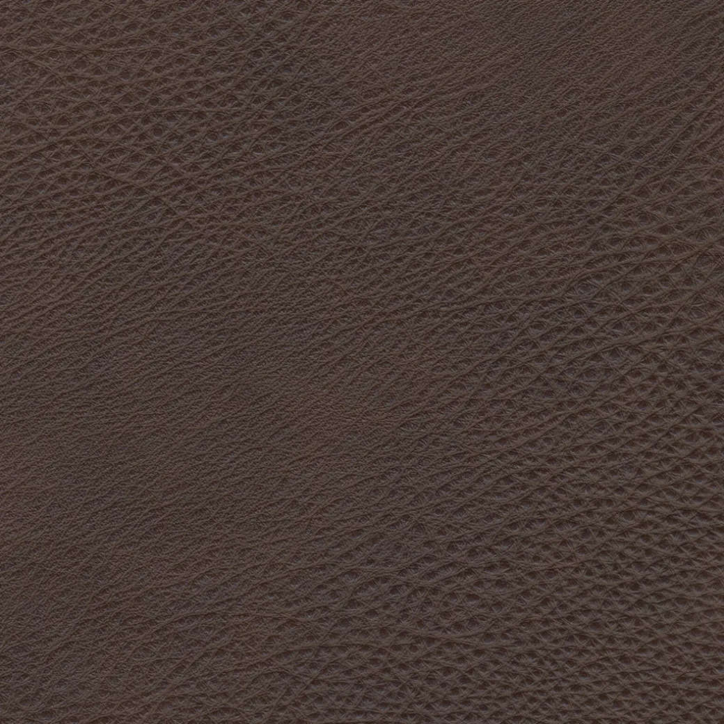 Durango Leather Reclining Sofa