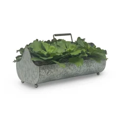 Green Succulents in Metal Planter