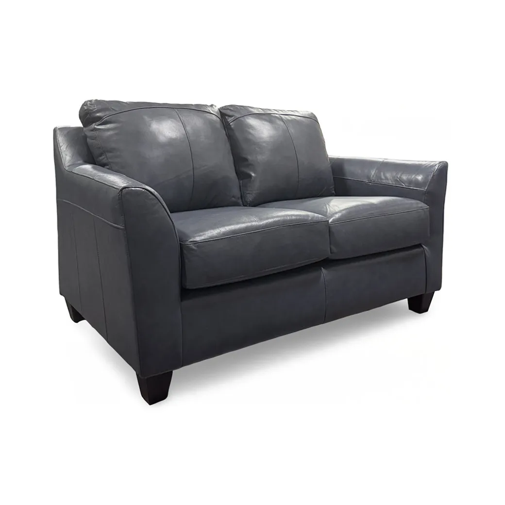 Josh Leather Loveseat