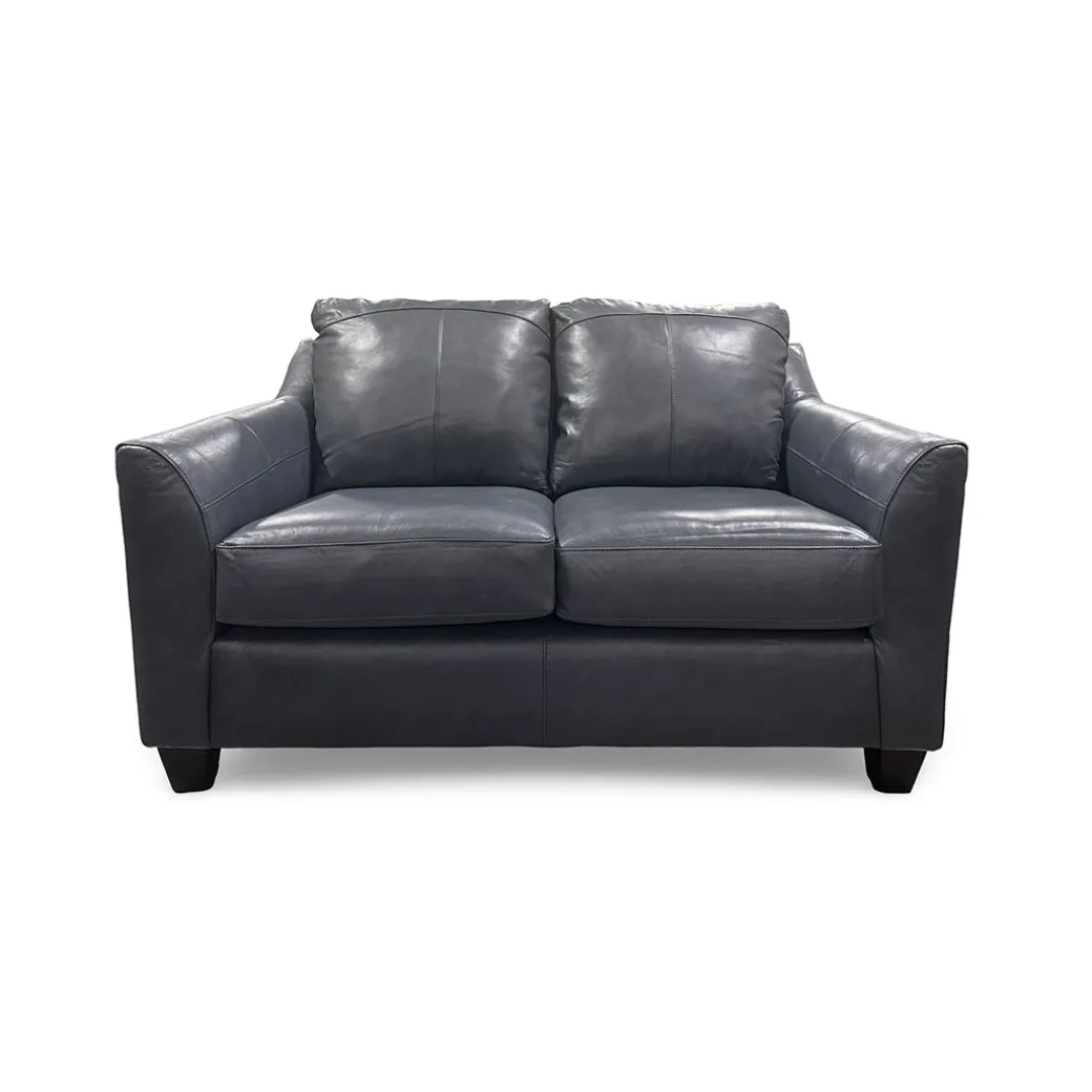 Josh Leather Loveseat