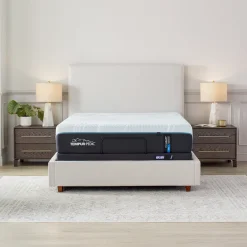 ProAdapt Soft Mattress