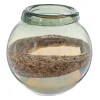 Short Artisan Glass Vase