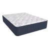 Wickman Plush Mattress